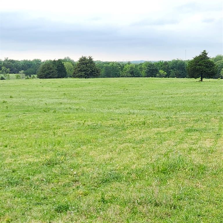 a view of a field with an ocean