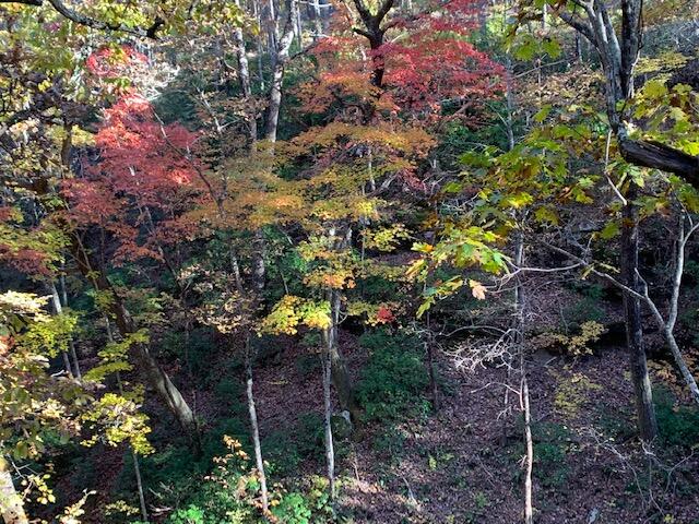 Hiking