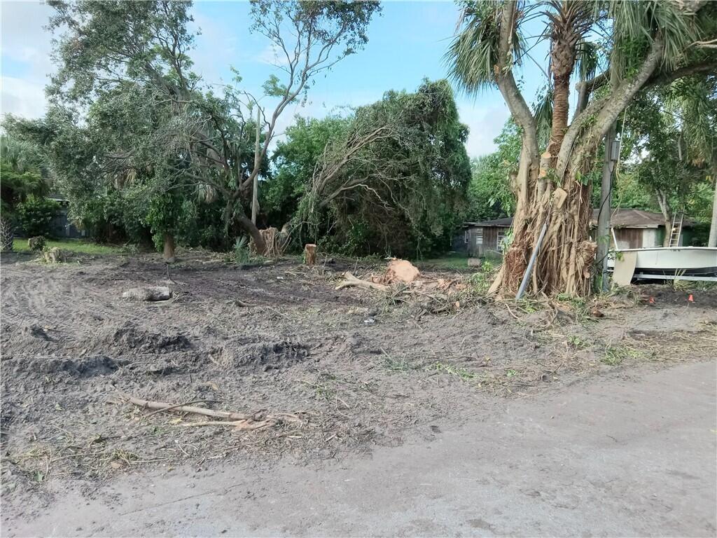 a view of a yard with a tree