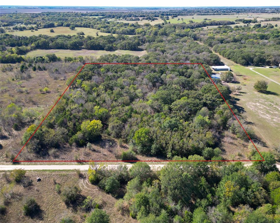 an aerial view of forest