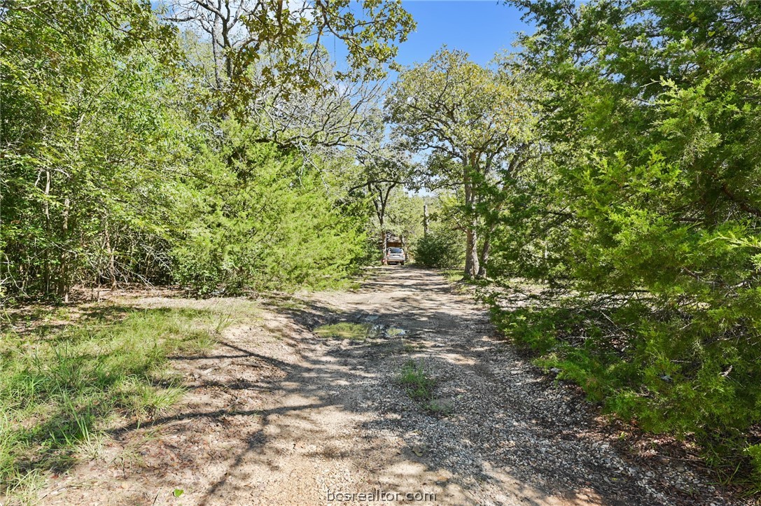 a view of outdoor space and trees