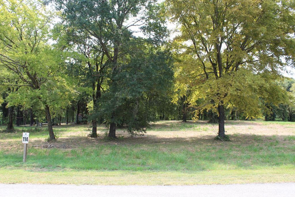 a view of outdoor space with trees