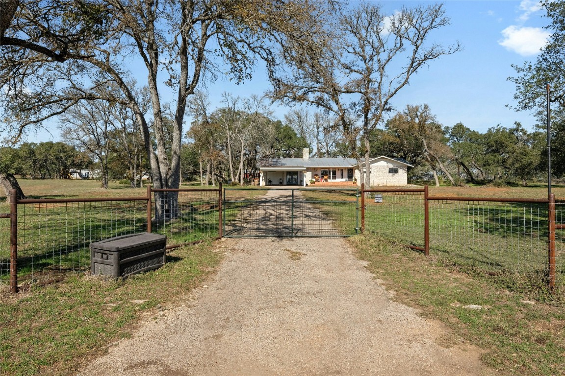 a park view with a bench and trees