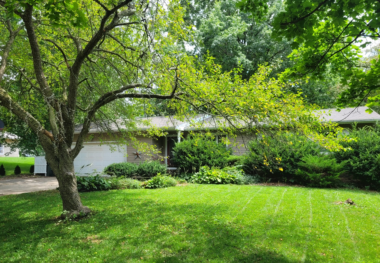 a view of a backyard