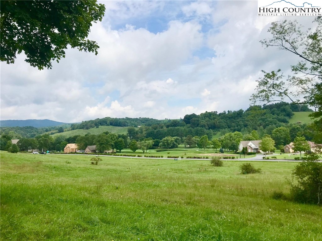 a view of a green field with lots of trees