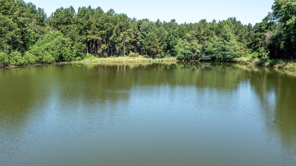 a view of a lake with a trees in the background