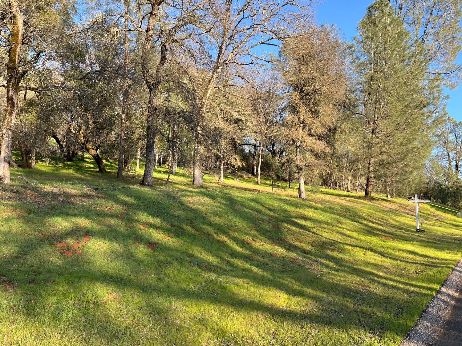 a view of a golf course