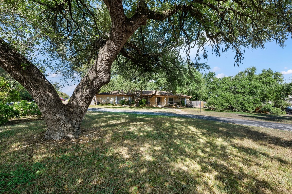 a view of yard with green space