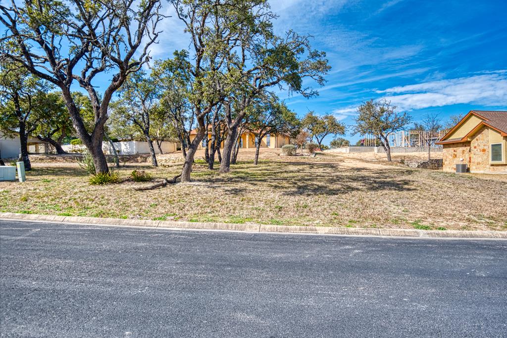 a view of dirt yard with a large tree