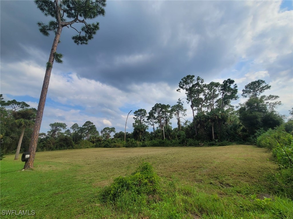 a view of a field