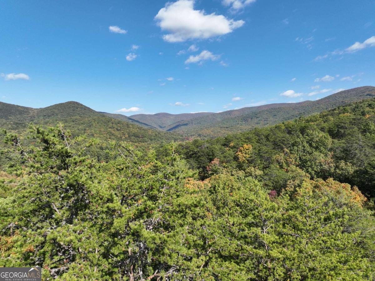 a view of a mountain range with lush green forest