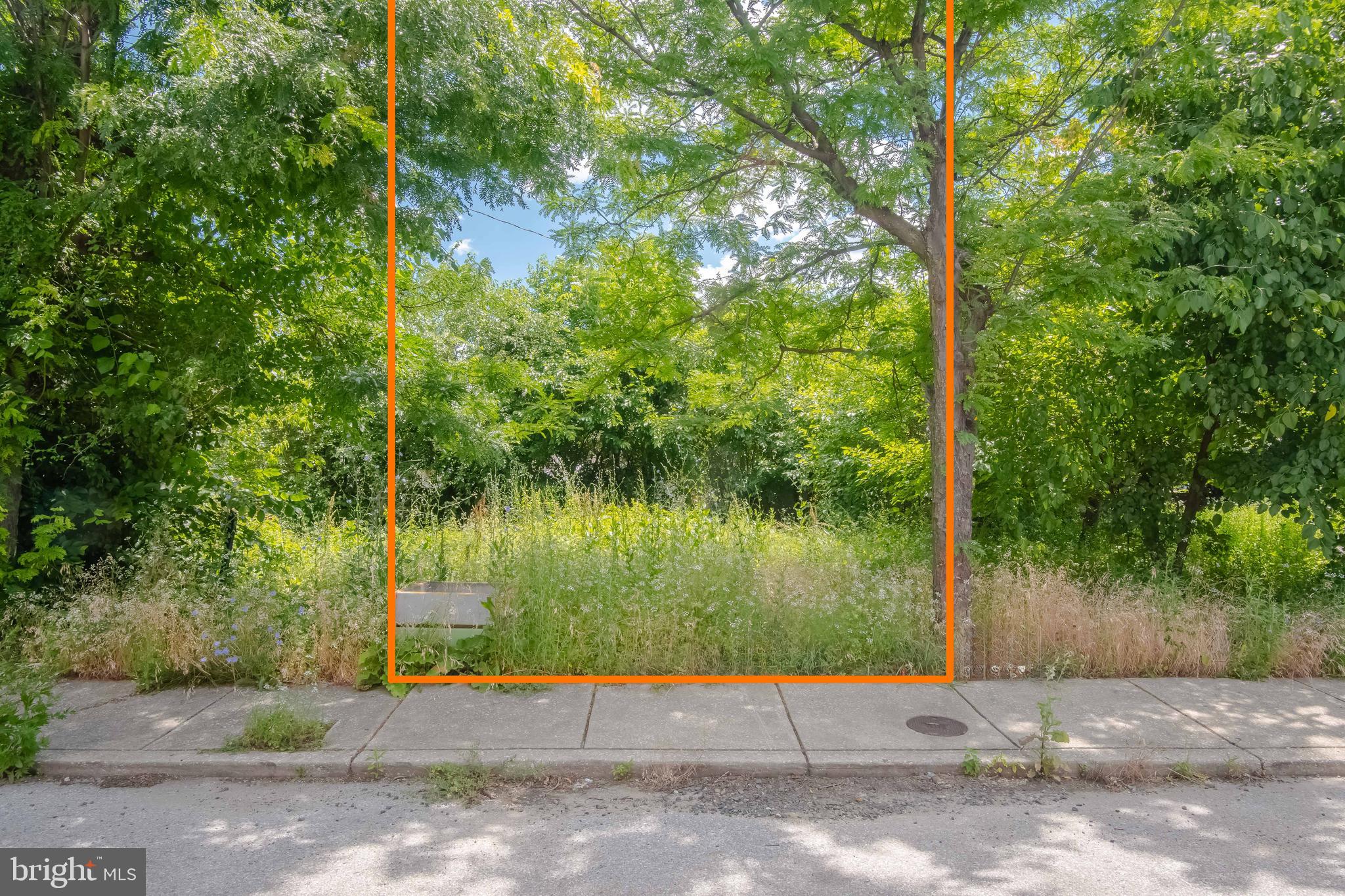 a view of a yard with a tree