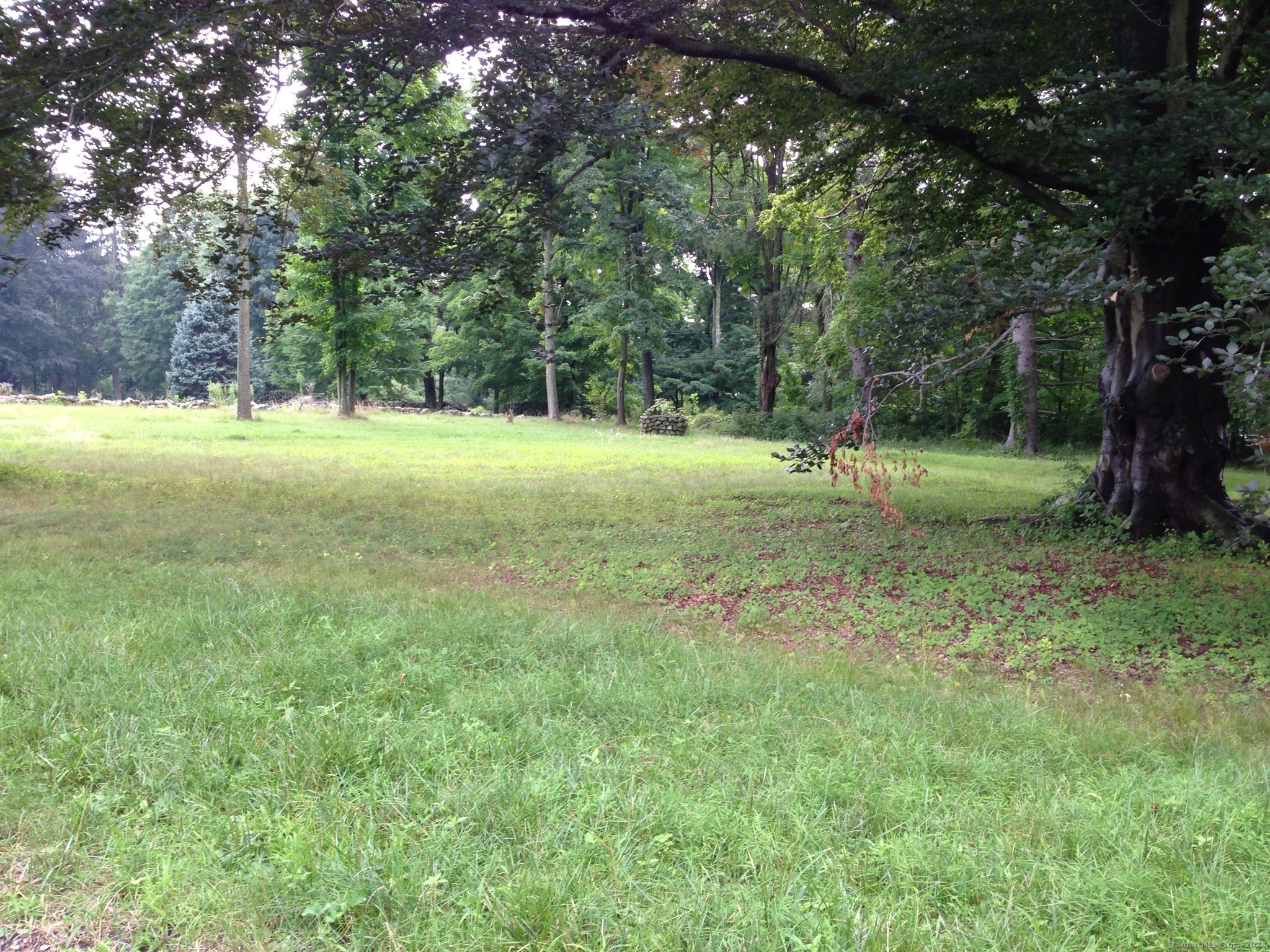 a view of outdoor space with trees all around