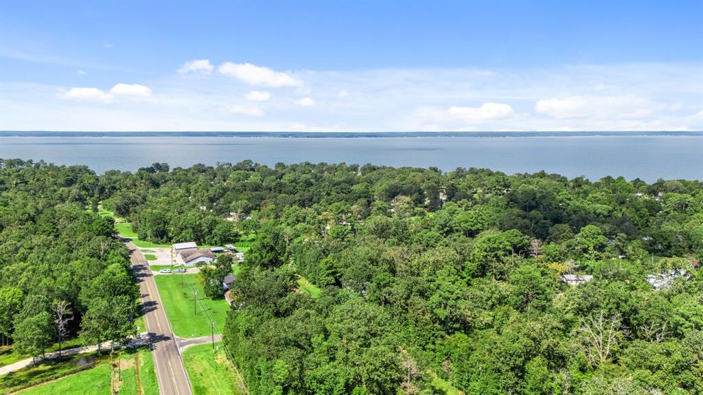 a view of a lake and green space