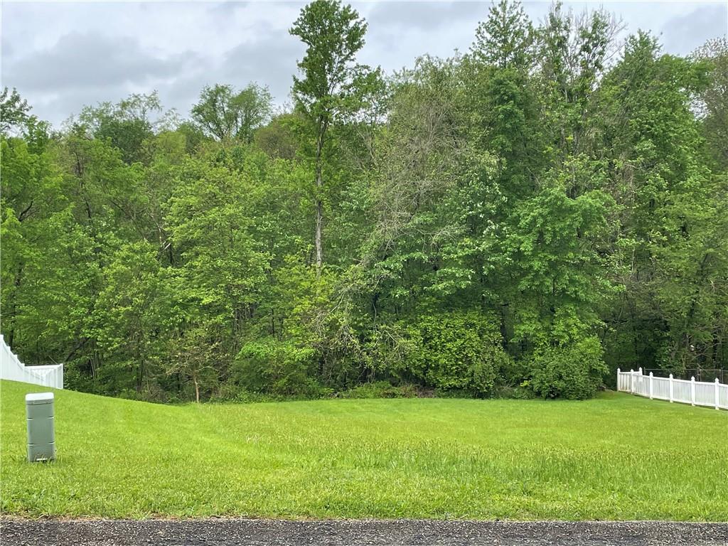 a view of a field with an trees