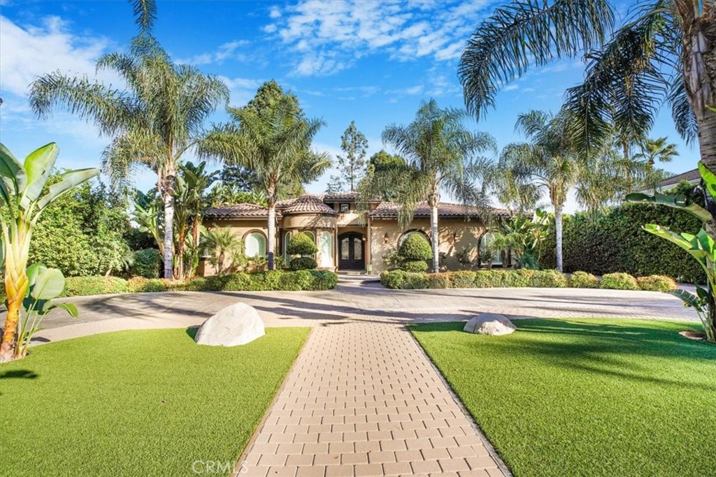 a view of a swimming pool with a lawn chairs under palm trees