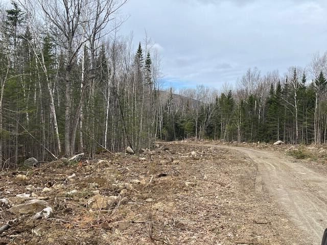 $172,900 | Lot 117 Big Snow Way | Rangeley