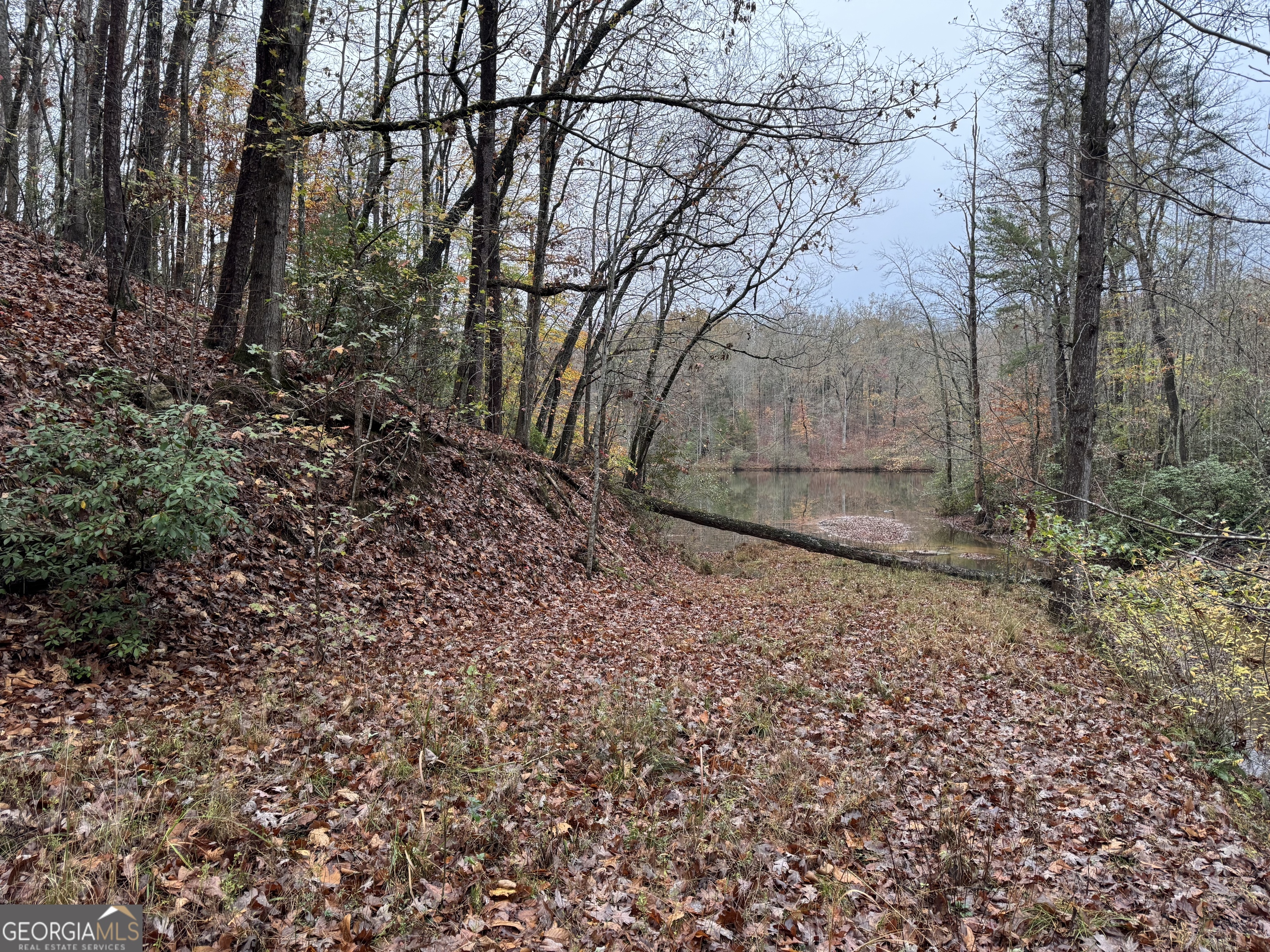 a view of a backyard of the house