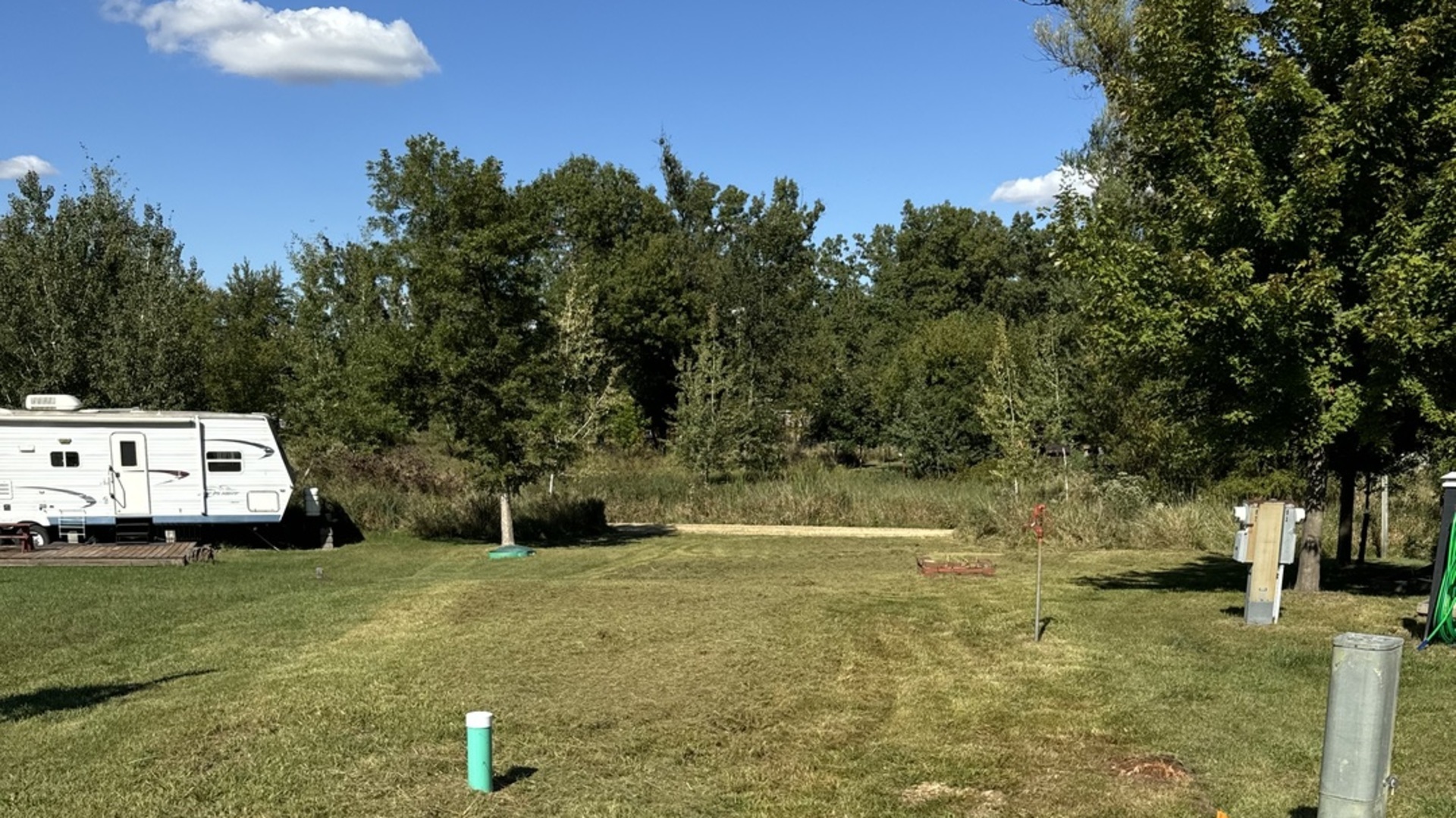 a view of a yard with an trees