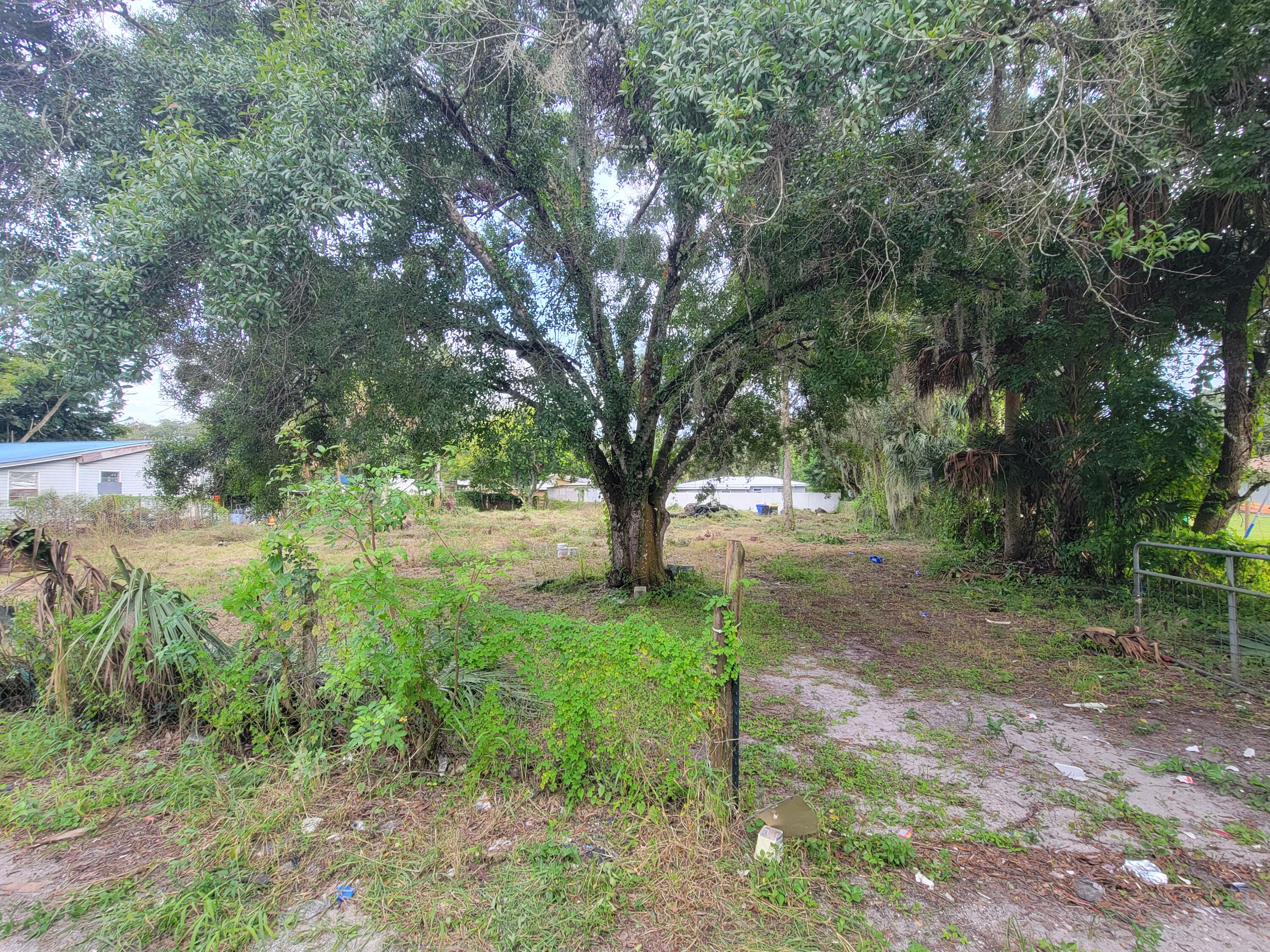 a big yard with lots of green space and plants