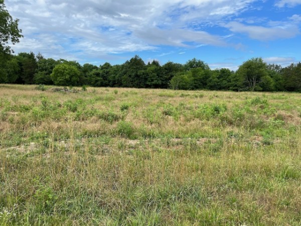 a view of a green field