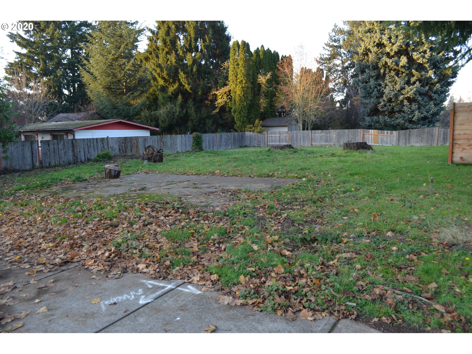 a view of a backyard with large trees and wooden fence