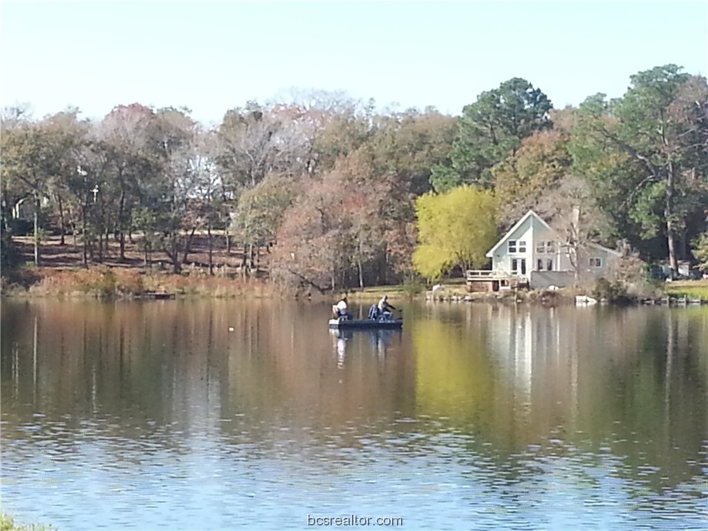 a view of a lake with trees