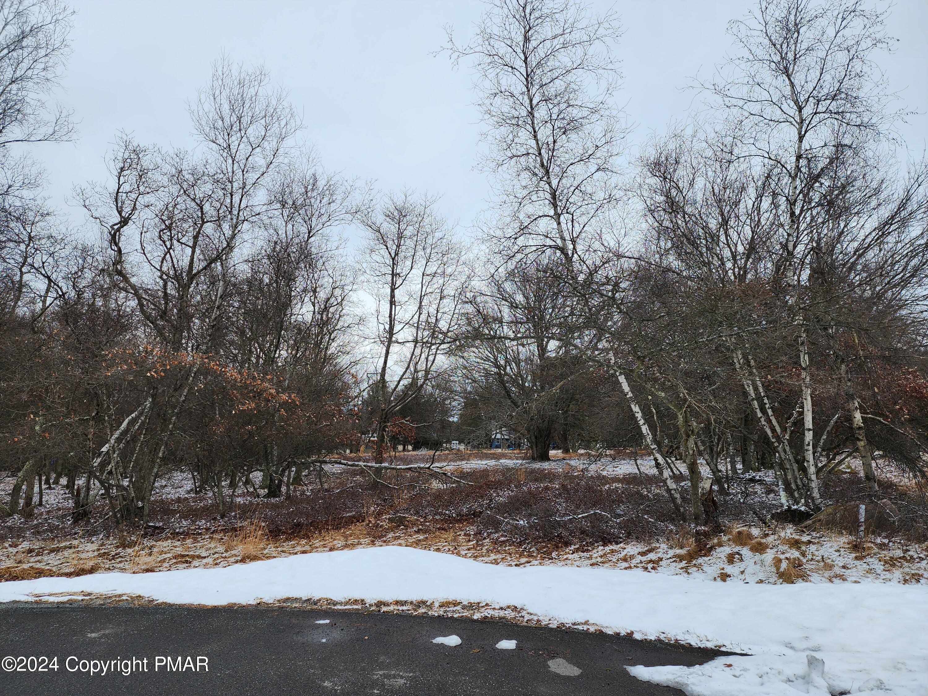 a view of outdoor space with trees