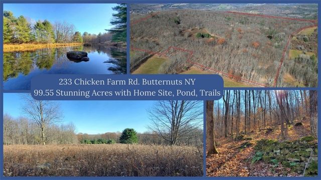 $250,000 | 233 Chicken Farm Road | Butternuts