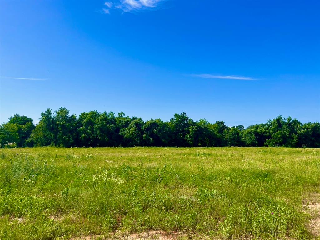 a view of field with trees in the background