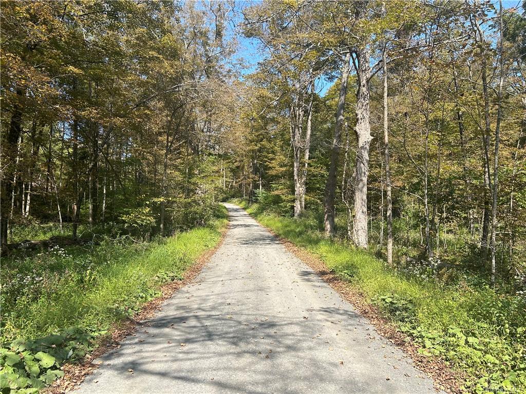 a view of a pathway both side of yard