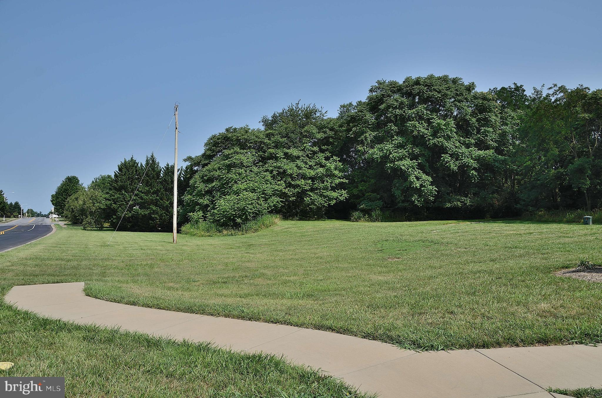 a view of a grassy field