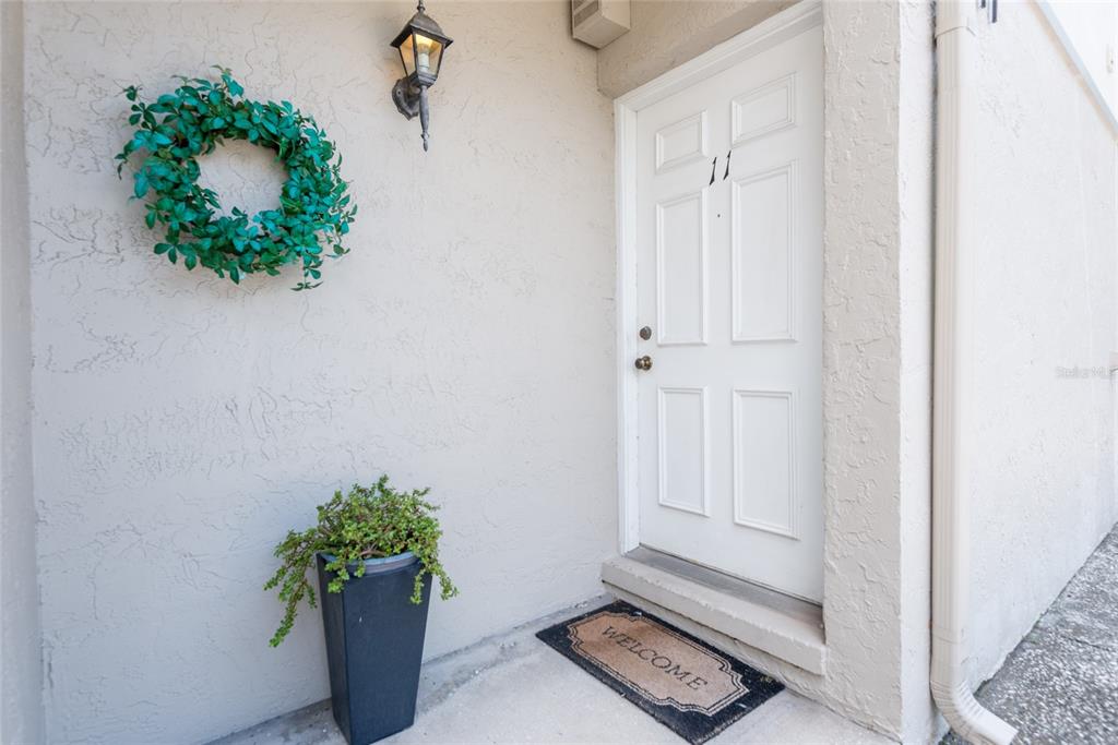 a room with a potted plant