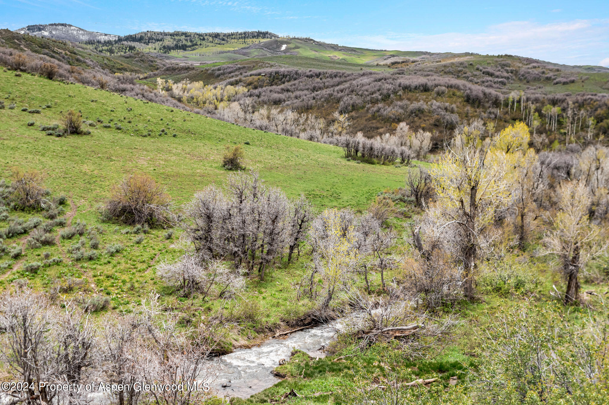 a view of a lush green hillside and houses