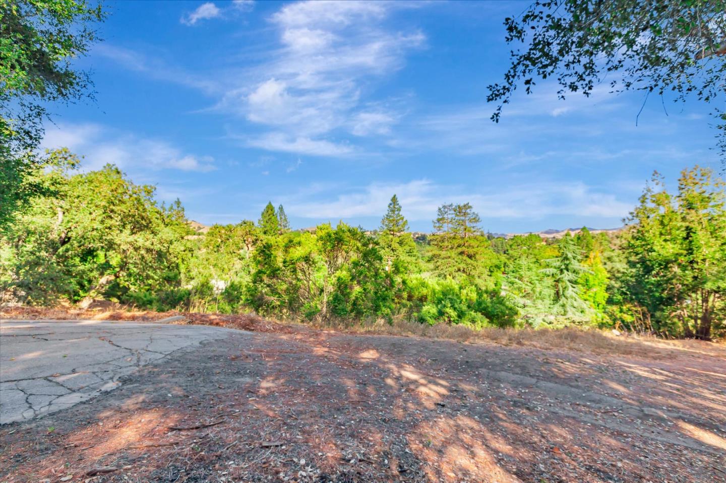 a view of a yard with a tree