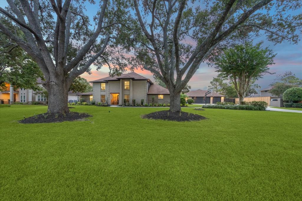 Welcome to 708 Pine Hollow. Enjoy mature oak trees and lush landscaping.  Imagine these trees being wrapped with lights during the holidays.