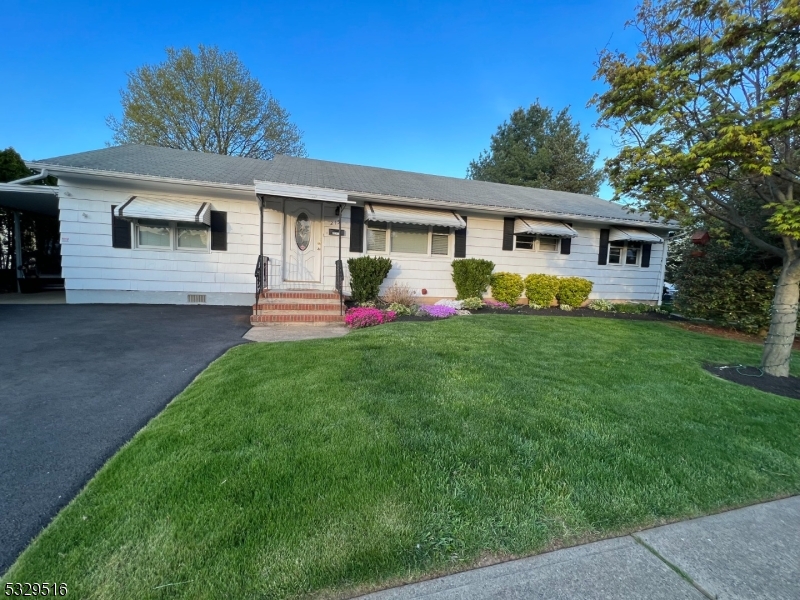 a front view of house with yard and green space