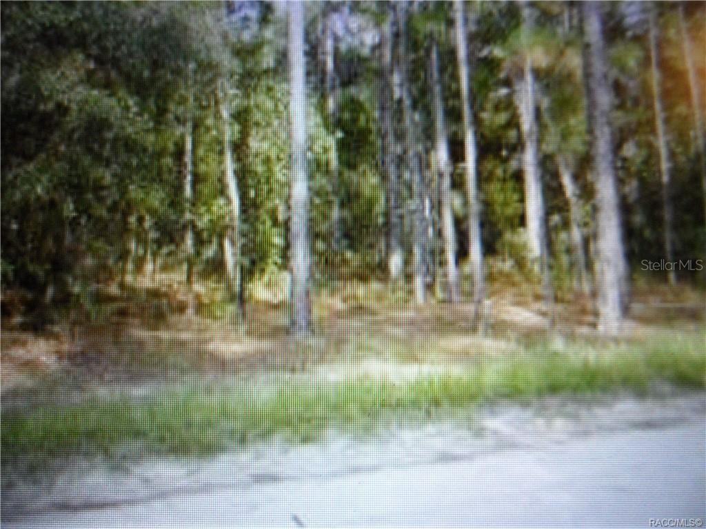 a view of outdoor space with trees