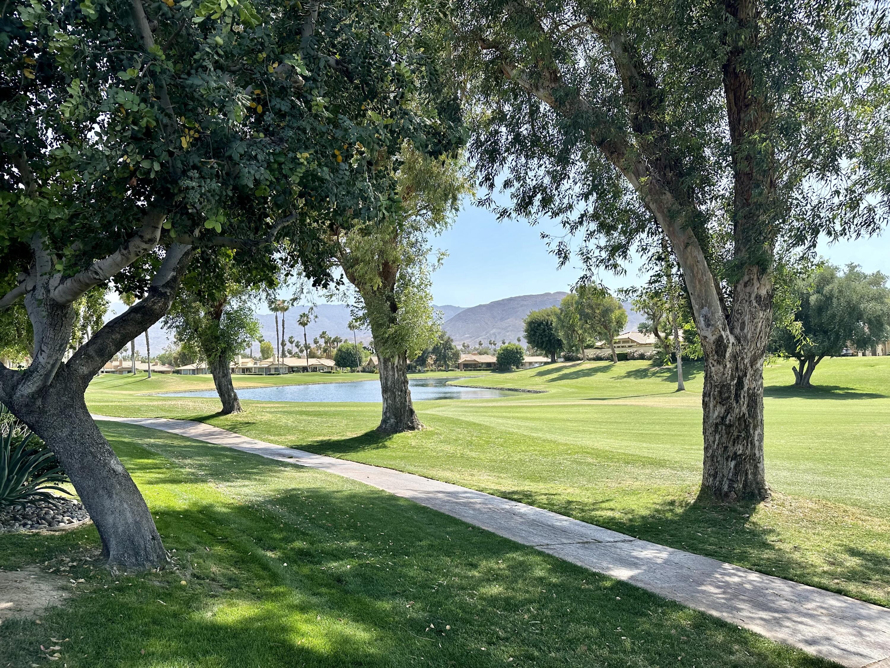 a view of a park with a tree