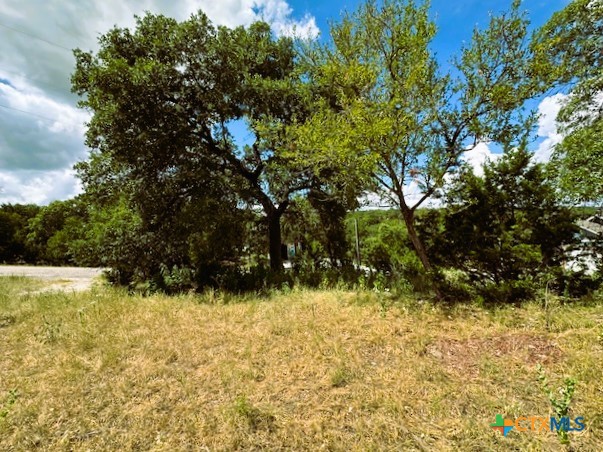 a view of a yard with a tree