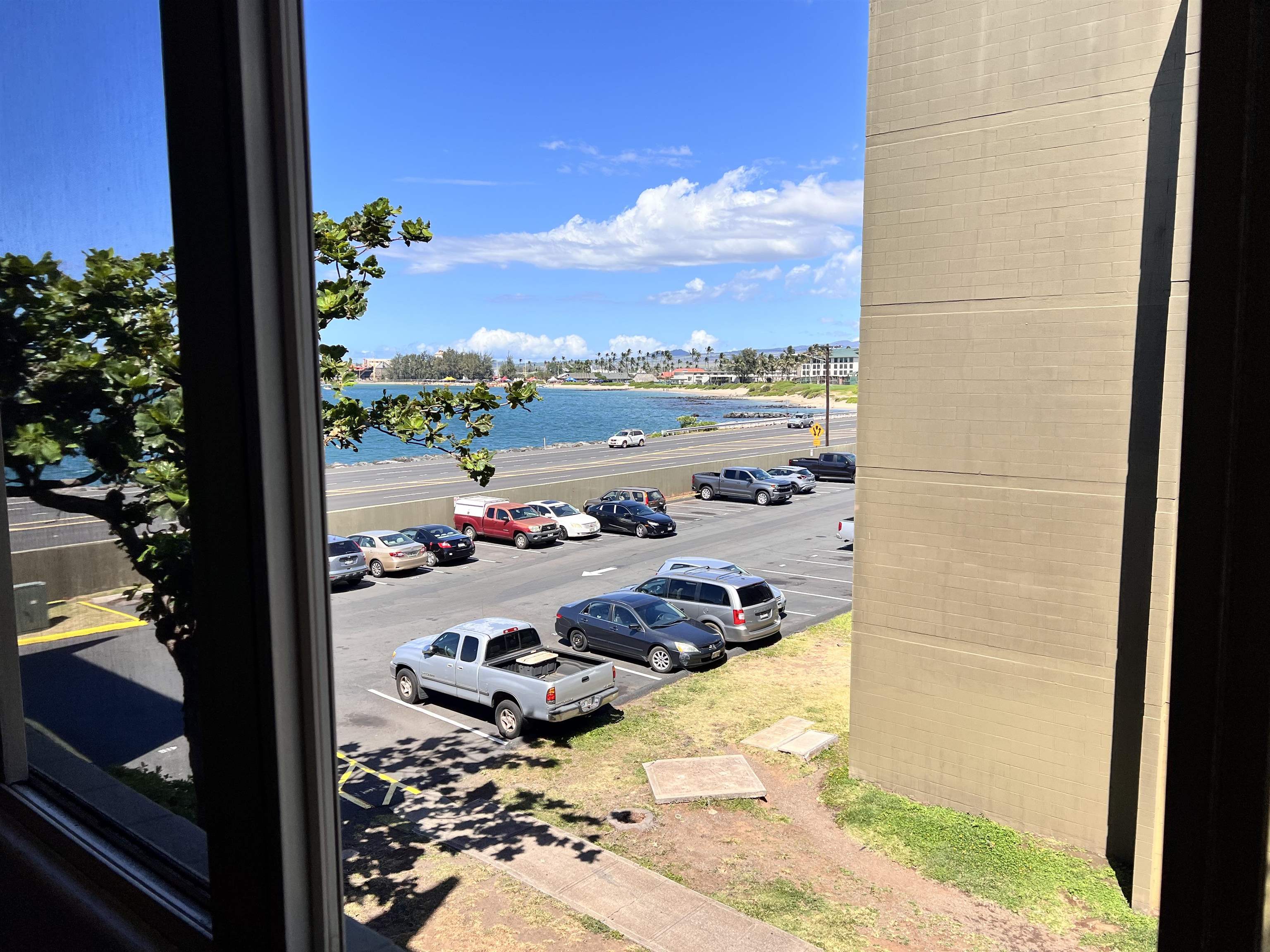 a view of swimming pool from a window