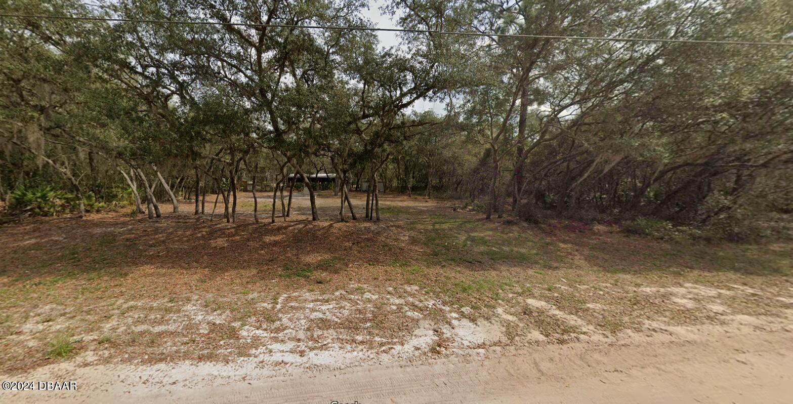 a view of dirt yard with a trees