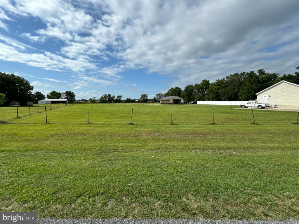 a view of a green field with clear sky