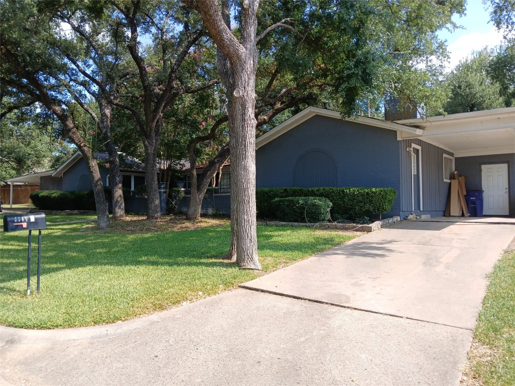 a backyard of a house with plants and large tree