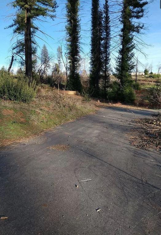 a view of a yard with a tree