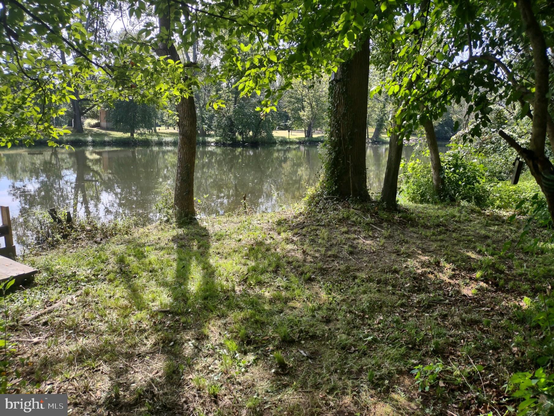 a view of a lake with a large trees