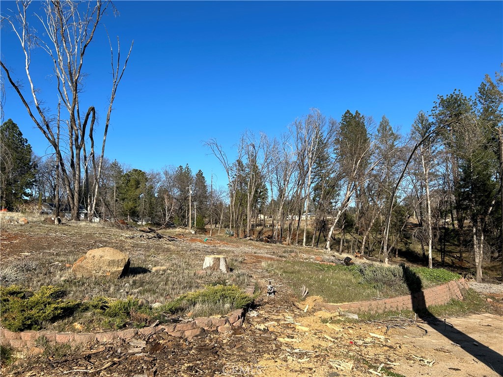 a view of dirt yard with a large tree