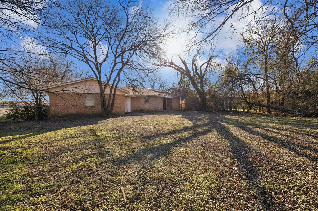 a view of a yard with a large tree