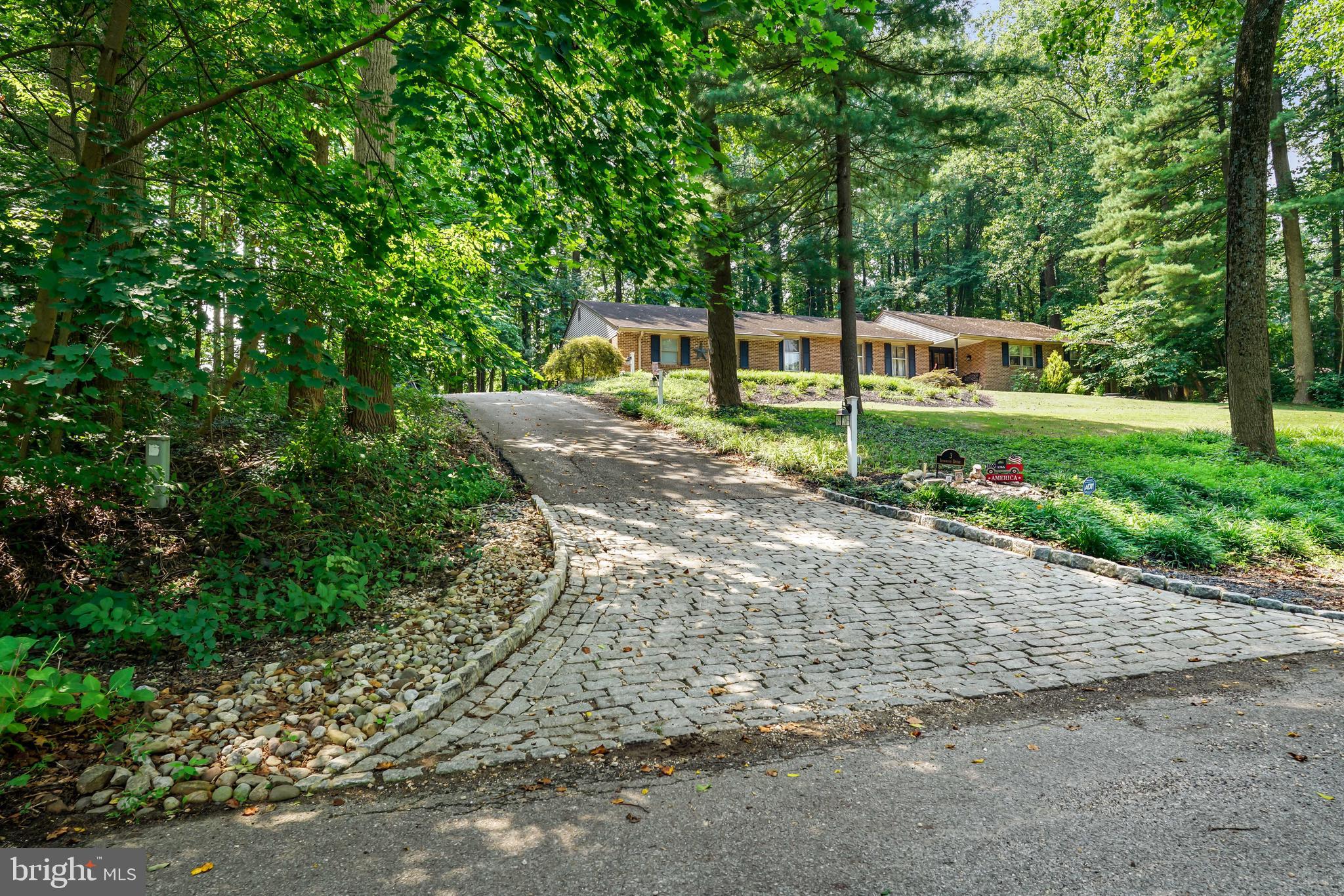 a view of a park with large trees