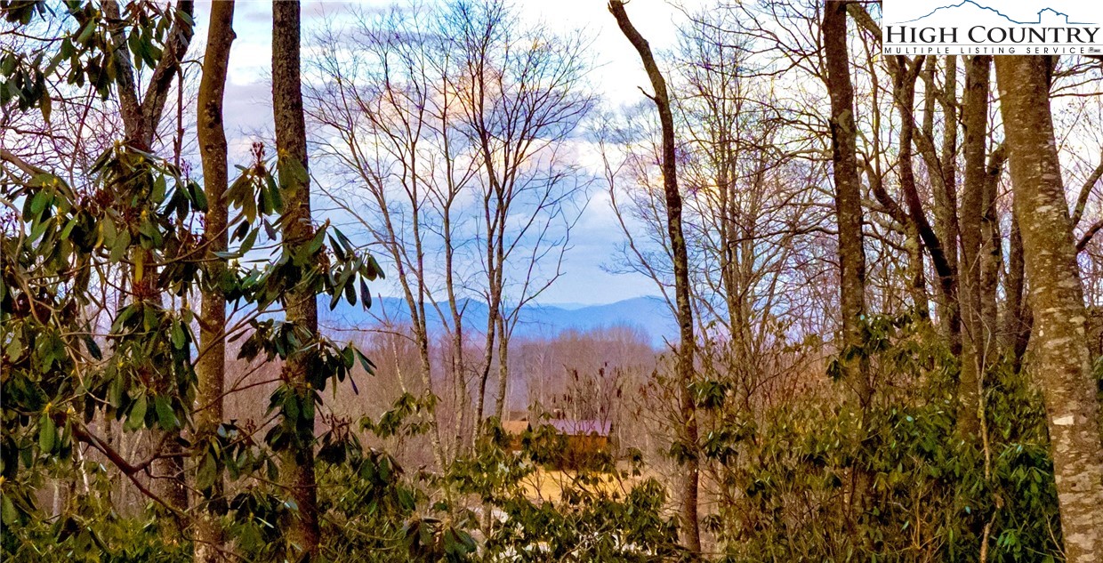 a view of a backyard of the house